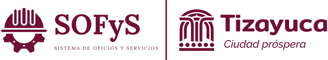 SOFyS Logo